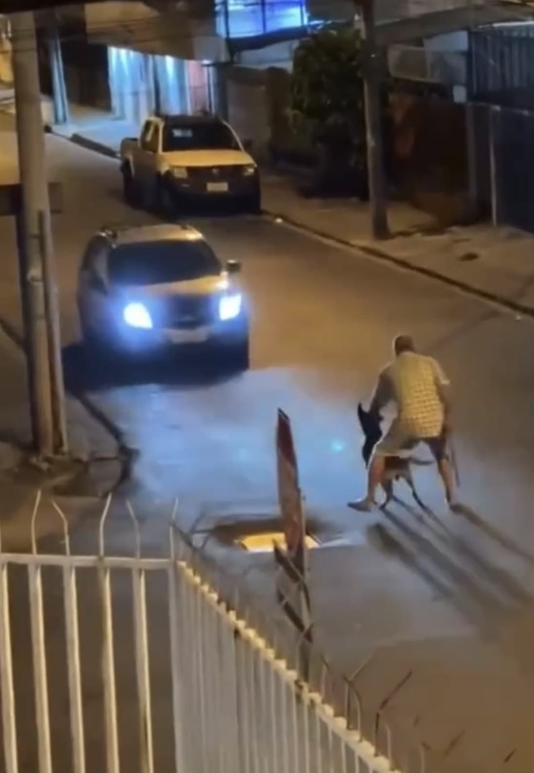 Old man dog gets hit by a car then goes missing 