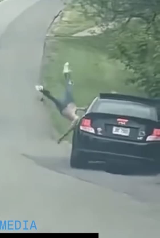 Men hit by car, another car stolen, then a fight 