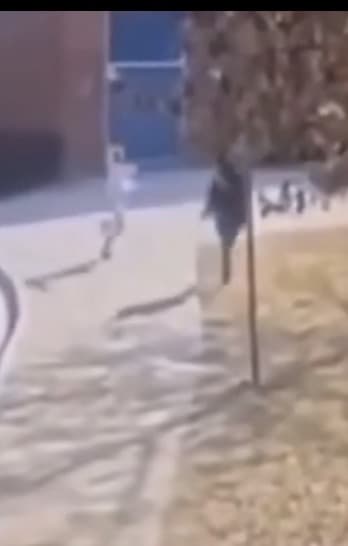 YN chased classmate down and smoked em