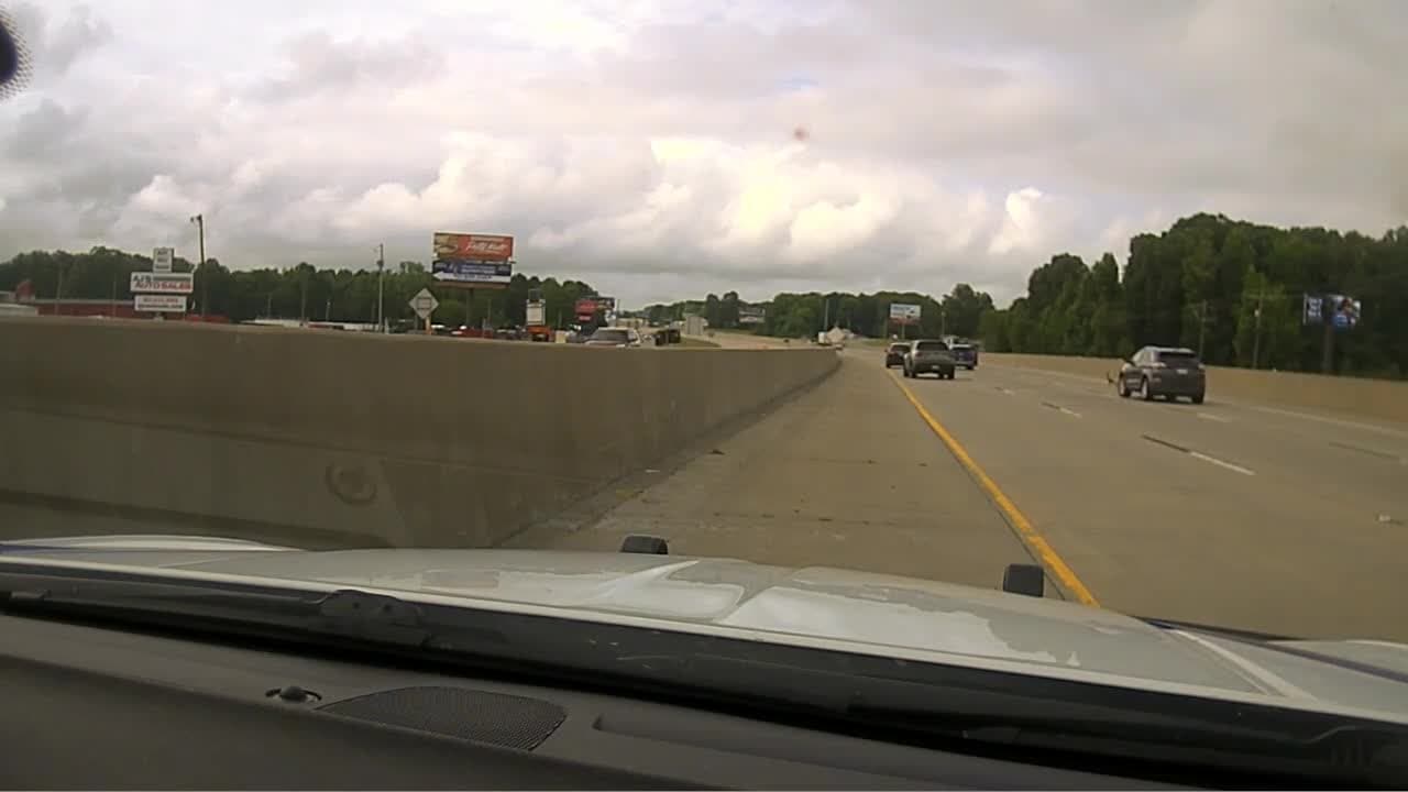 Cop intentionally runs over protected geese